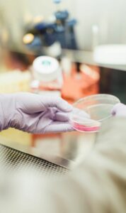 A person in a lab holding a plate with a sample in it.