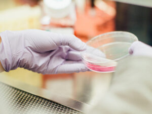 A person in a lab holding a sample.